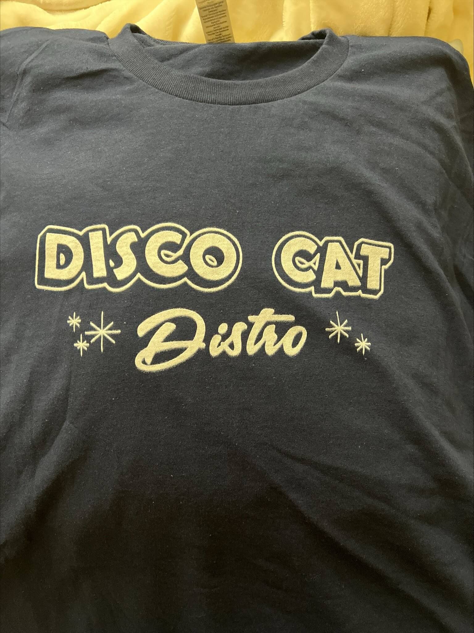 Disco Cat party archive photo 11