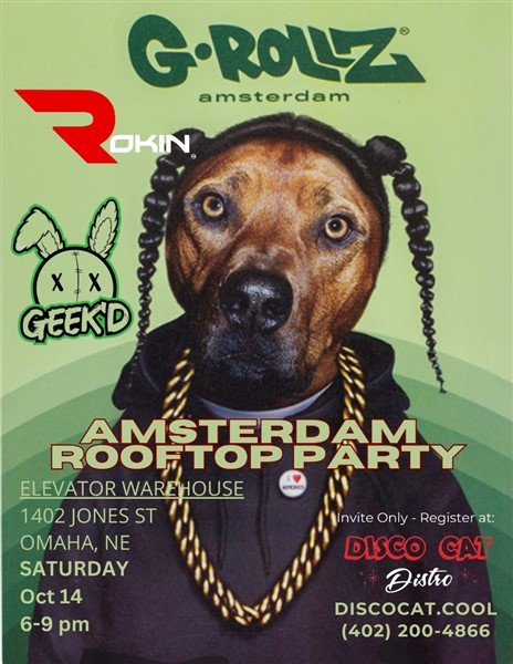 Disco Cat party archive photo 39